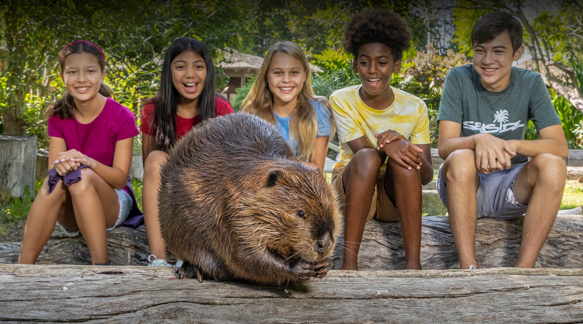 Kids learning about wildlife